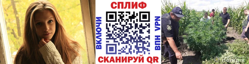 Купить наркотик аптеки Кириши Конопля  АМФЕТАМИН  Гашиш  МЕФ  МЕТАМФЕТАМИН  СК 