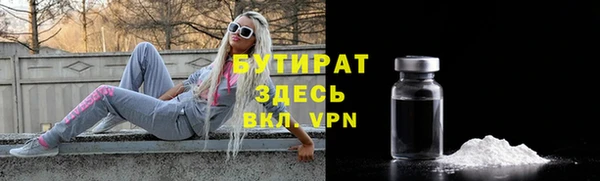 прущие грибы Михайлов