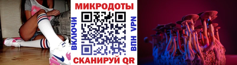 blacksprut   Кириши  Галлюциногенные грибы мицелий 