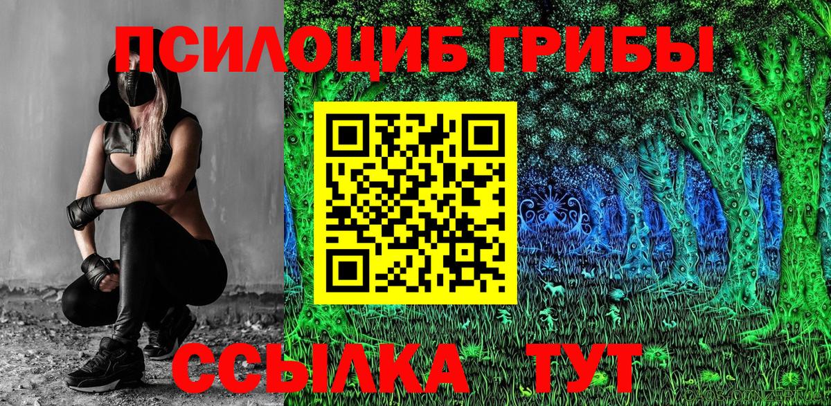 Псилоцибиновые грибы мухоморы  Кириши  где найти наркотики  Псилоцибиновые грибы Magic Shrooms 