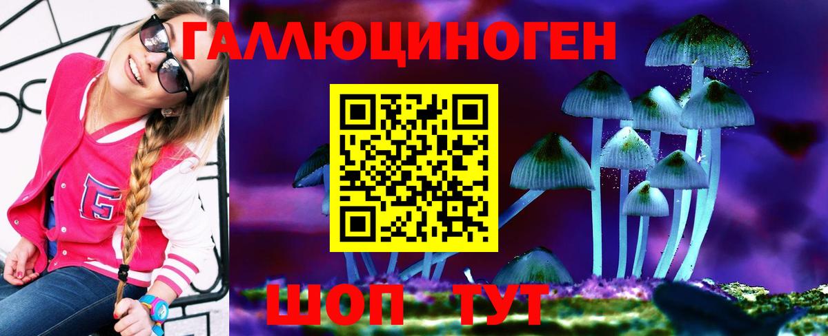 Псилоцибиновые грибы GOLDEN TEACHER  Вход с VPN  Кириши 