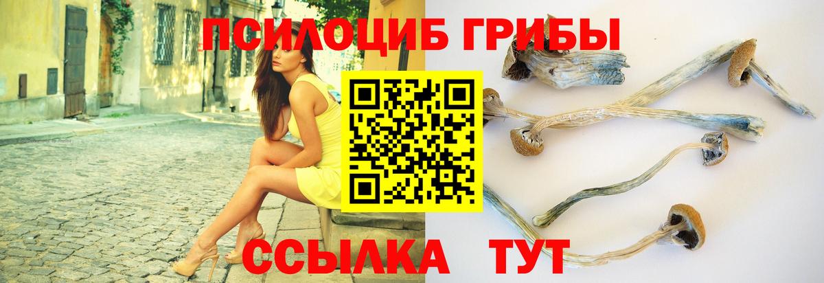 МЕФ  A PVP  Кириши  Кокаин  Вход с VPN  Гашик  Каннабис 