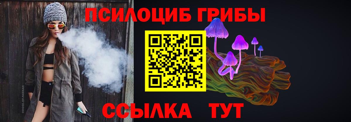Псилоцибиновые грибы Psilocybine cubensis Кириши