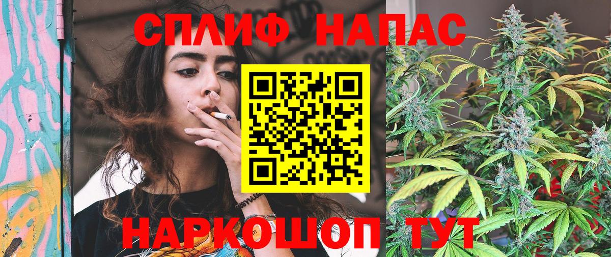 Шишки марихуана план Кириши